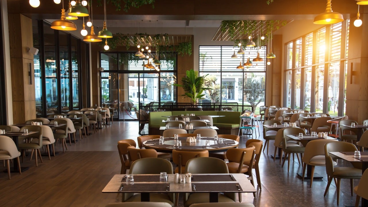 Stylish modern restaurant with warm lighting and plenty of tables and chairs with plants and pendent lights hanging from the ceiling